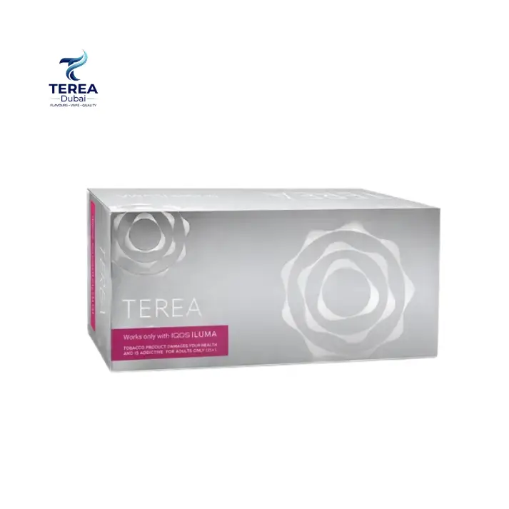 IQOS Terea Silver Kazakhstan